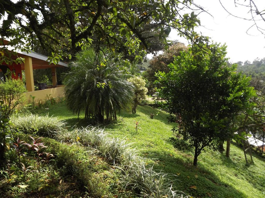 Aparthotel Villa Pacande & Rooms Pilas Δωμάτιο φωτογραφία